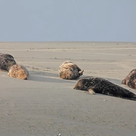 Pleine Fort-Mahon-Plage