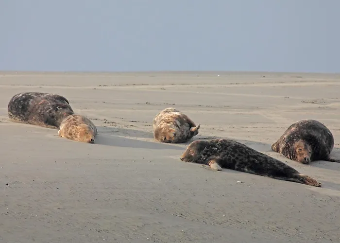 Pleine Fort-Mahon-Plage